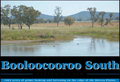 Booloocooroo South